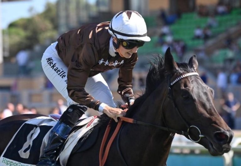 Walderbe deckt 2025 im Haras de Say