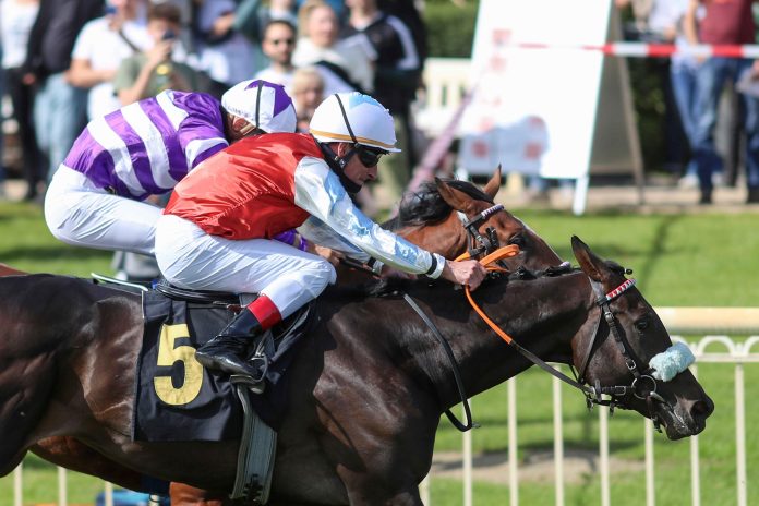 Sagamore siegt Sagamore siegt
