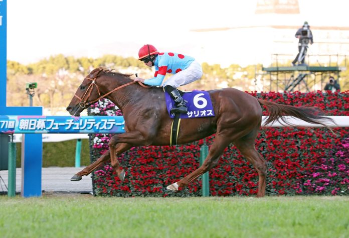 salios_foto_japan_racing_association