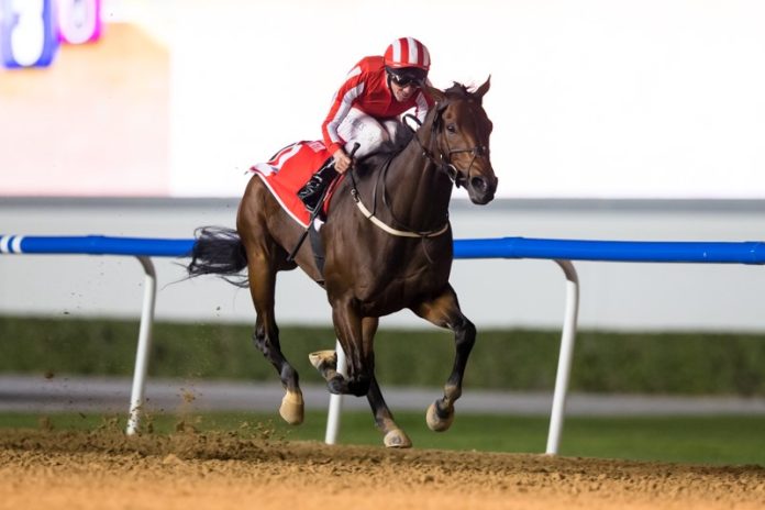 Salute the Soldier (Foto: emiratesracing,com) Salute the Soldier (Foto: emiratesracing,com)