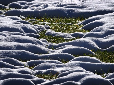 Winter hat britischen Turf weiter im Griff Winter hat britischen Turf weiter im Griff
