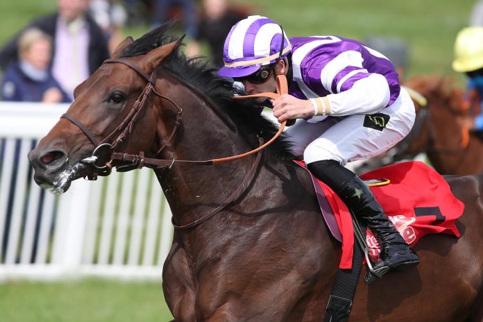 Sea Of Sands (Archiv) Sea Of Sands (Archiv)