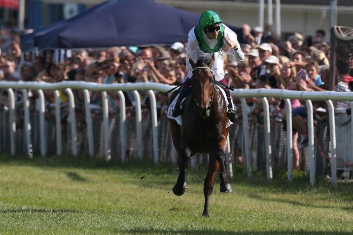 Sea The Moon gewinnt das Derby 2014 Sea The Moon gewinnt das Derby 2014