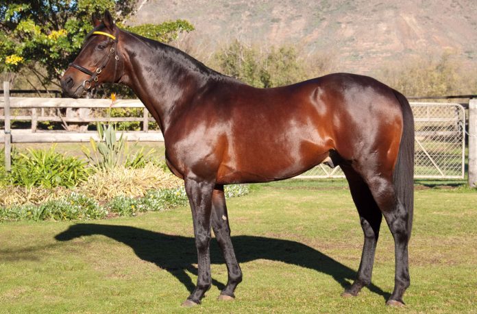 silvano-web-1