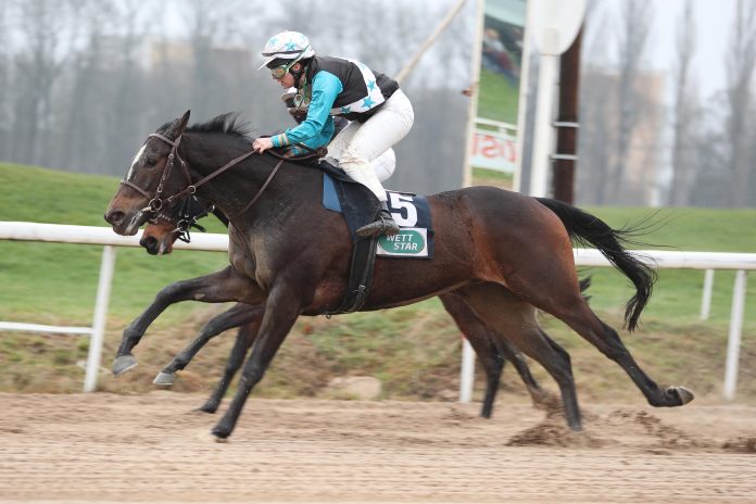Sioux (Archiv) Sioux (Archiv)