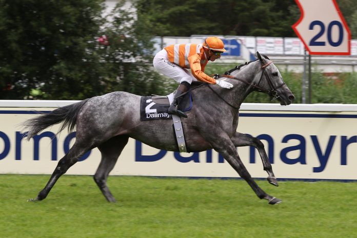 Skalleti bei seinem Dallmayr-Sieg 2021 Skalleti bei seinem Dallmayr-Sieg 2021