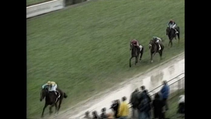 sport-welt_kino-abend_up-and-away_bremen_fullhd.mp4_.01_23_49_14.standbild002