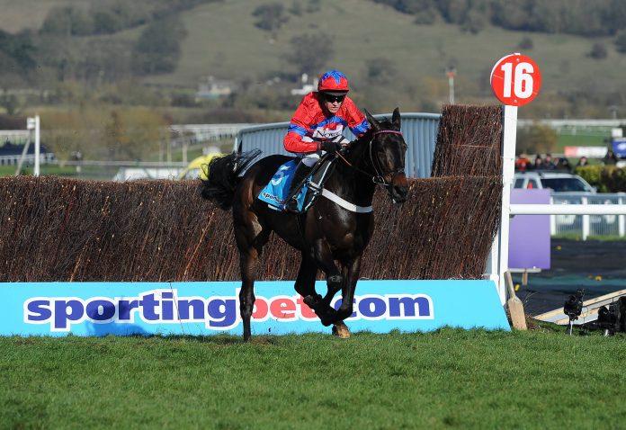 sprinter_sacre_2