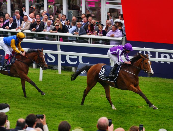spw16epsomoaks_minding_unter_ryan_moore_siegt_vor_architecture_unter_frankie_dettori_foto_hemke_img_8241