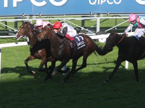 Wolverhampton am Samstagabend: Blaublütig gezogene Debütantin dabei Star Catcher