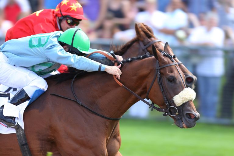 Stellato und Sumatra Tiger siegen in Saint-Cloud