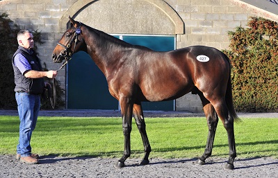 tattersalls_irland_mittwoch