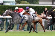 tin_horse_gol