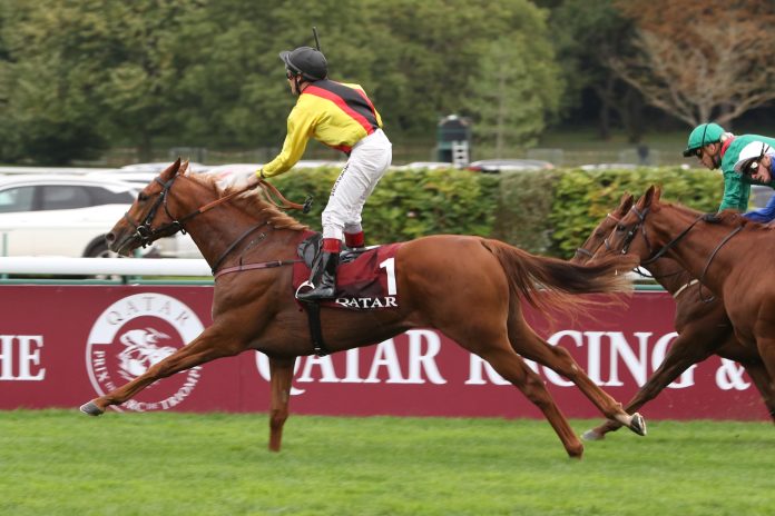 torquator_arc_iii