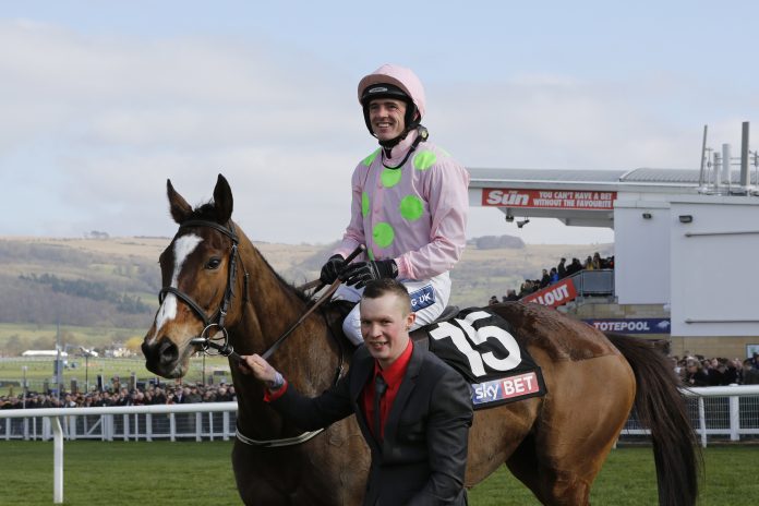 vautour