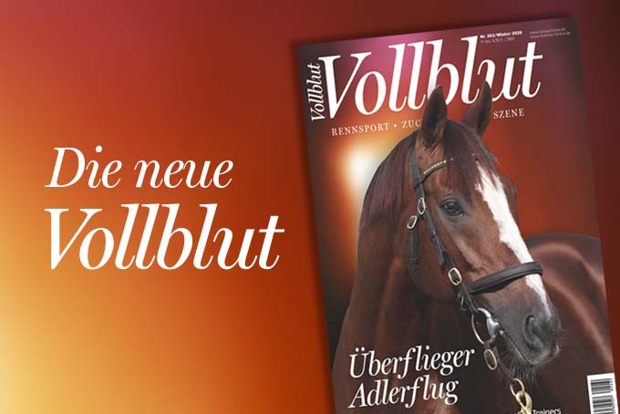 vollblut_gol
