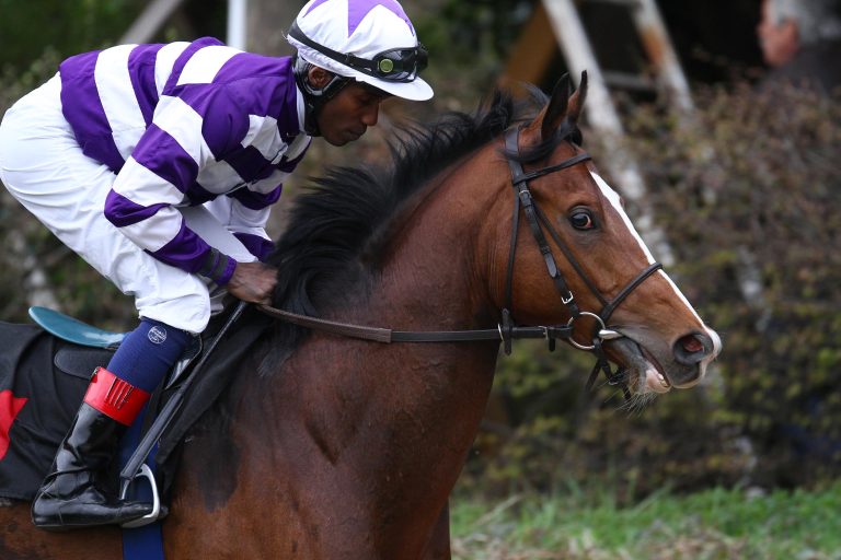 Wake Forest triumphiert im 24. Preis der Einheit