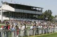 weidenpescher_park_3