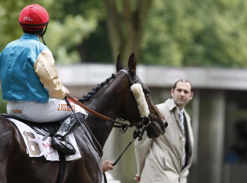 Frankel-Halbbruder der Röttgener Derbysieger geboren Wellenspiel