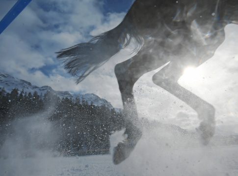 Erster Renntag in St. Moritz abgesagt white_turf_st_moritz
