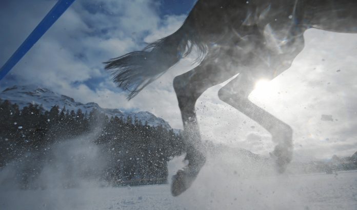 white_turf_st_moritz