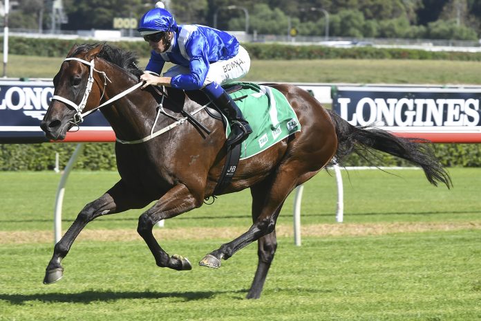 winx_cbradleyphotos.com_.au_