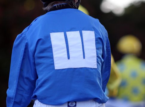 Arqana: Zwei Wittekindshofer bringen mehr als 200.000 Euro Arqana: Zwei Wittekindshofer bringen mehr als 200.000 Euro