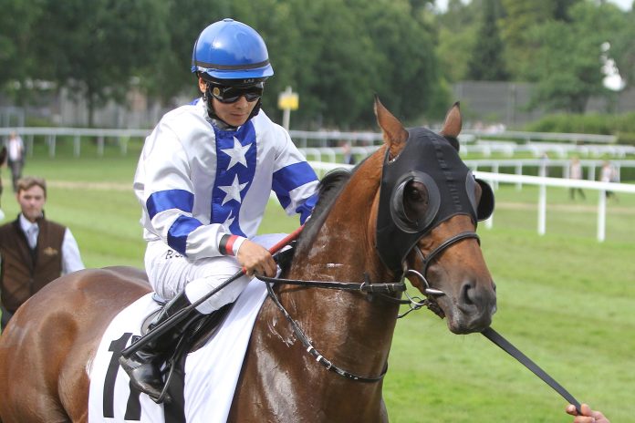 Zanini (Archiv) Zanini (Archiv)